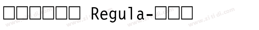 标小智无界黑 Regula字体转换